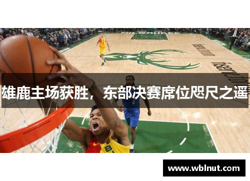 雄鹿主场获胜，东部决赛席位咫尺之遥