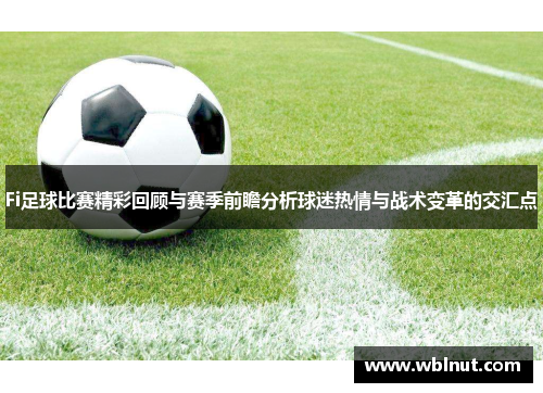 Fi足球比赛精彩回顾与赛季前瞻分析球迷热情与战术变革的交汇点