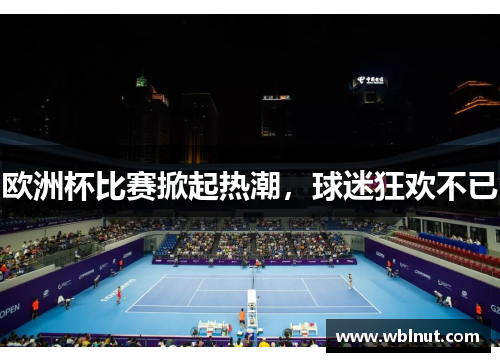 欧洲杯比赛掀起热潮，球迷狂欢不已